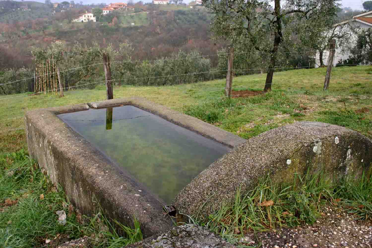 Fontanili del Lazio